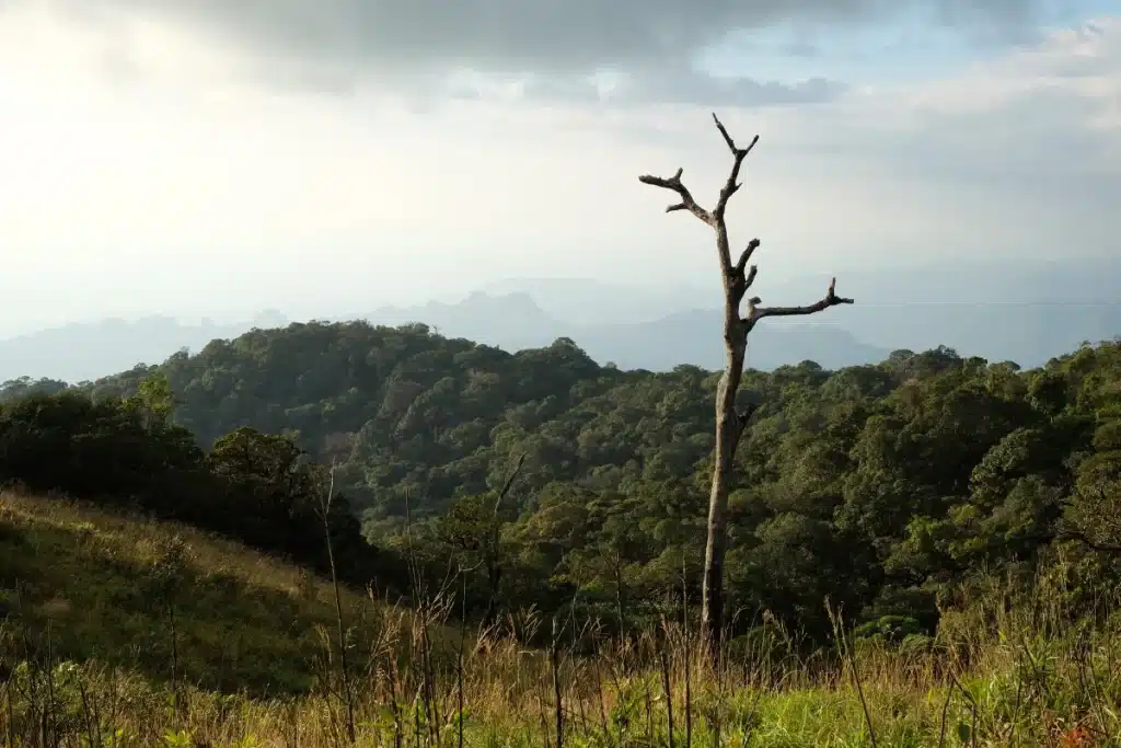 2. Pom Pee Scenic Point