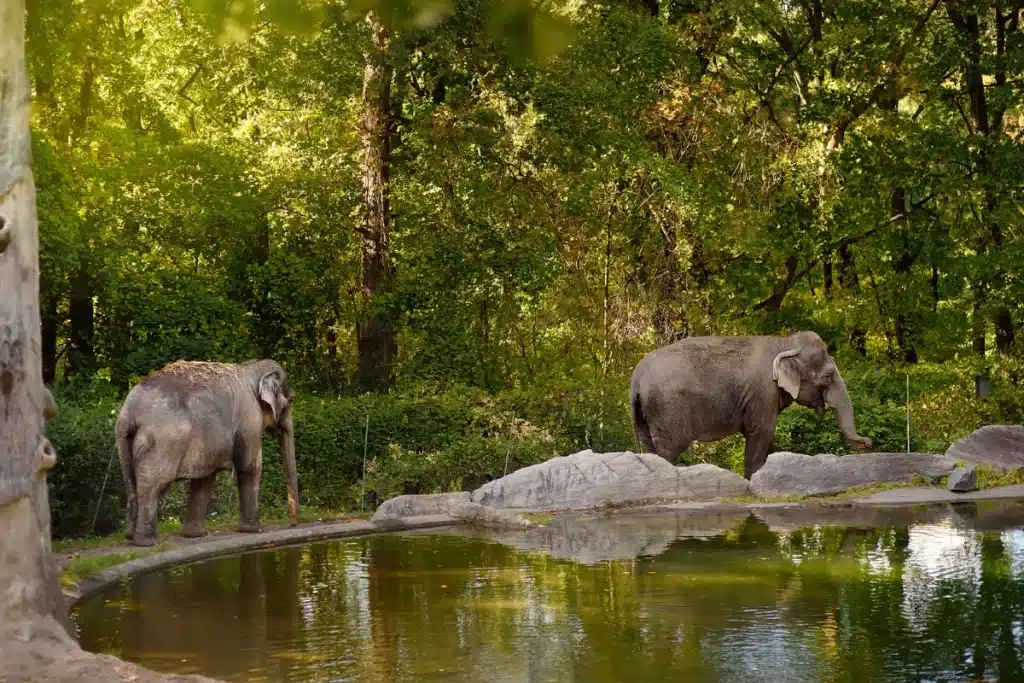 สวนสัตว์เปิดเขาเขียว ชลบุรี