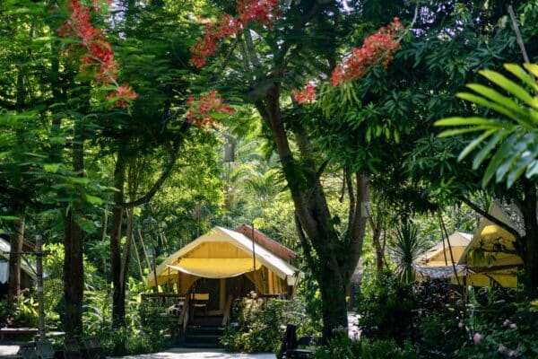 Hintok River Camp Review